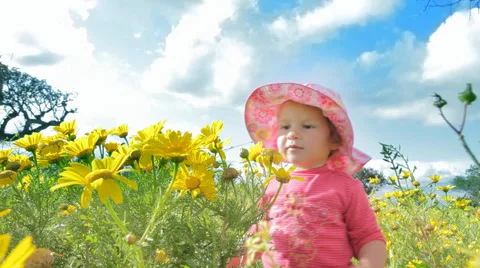 Small child playing in a meadow full of flowers. Mar Menor. Spain.  Clip 3. Stock Footage 44561362