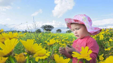 Small child playing in a meadow full of flowers. Mar Menor. Spain.  Clip 6. Stock Footage 44562350