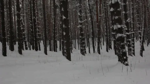 Small child playing in the snow Stock Footage 70284011