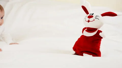 A small child playing successfully caught the rabbit, video Stockbeeldmateriaal 63765246