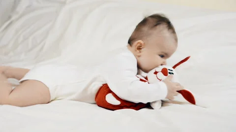 A small child playing successfully caught the rabbit, video Stockbeeldmateriaal 64586461