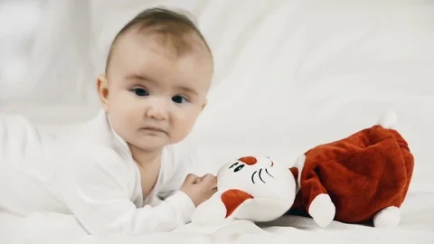 A small child playing successfully caught the rabbit Stock-Footage 71486637