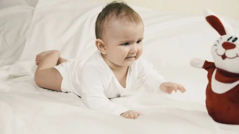 A small child playing successfully caught the rabbit Stock-Footage 74928263
