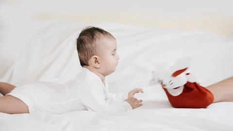 A small child playing successfully caught the rabbit Stock-Footage 76424439