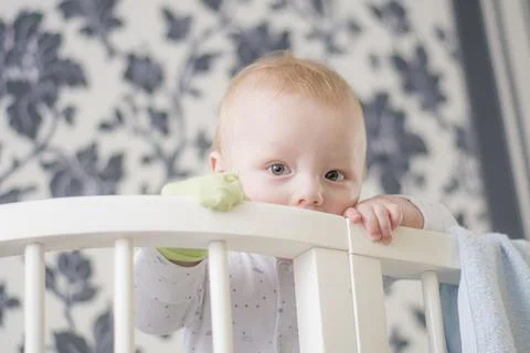 Small child in playpen Stock Photos