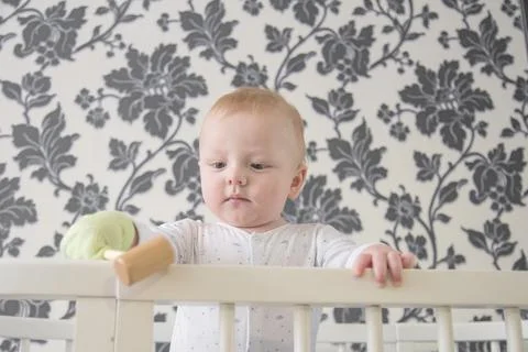 Small child in playpen Stock Photos