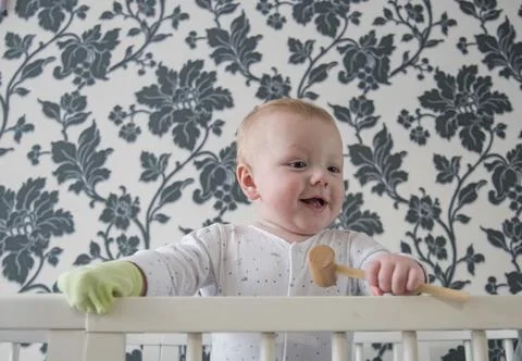 Small child in playpen Stock Photos