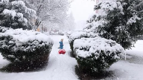 Small child pulling red sled along snowy winter park pathway Stock Photos
