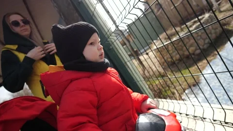 A small child in a red jacket walks in the zoo and looks through the fence. Feed Stock Footage 271319524