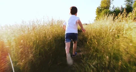 Small child running in the field Stock-Footage 110270925
