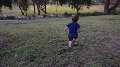 Small child runs in park on lawn and dry grass. Happy little baby walking in eve Vidéo 113485345