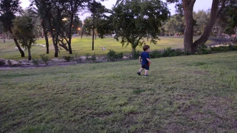 Small child runs in park on lawn and dry grass. Happy little baby walking in eve Stock Footage 113486729