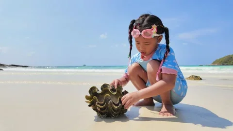 Small child at seashore looking at big shell. Stockbeeldmateriaal 273966448