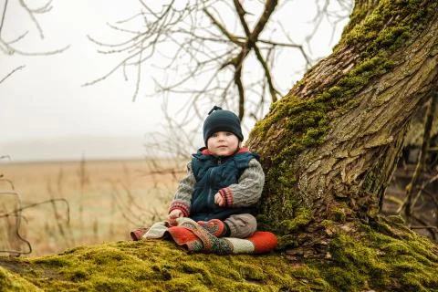 A small child sits on an old tree overgrown with moss Stock Photos