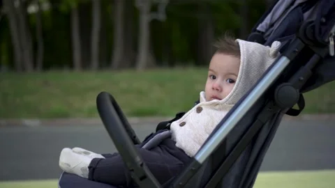 A small child is sitting in a stroller in the park. The child is taken to the Video stock 208026145