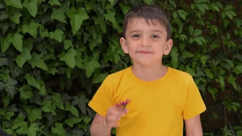 A small child sniffs a flower Stock Footage 129606855