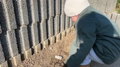A small child squats down and looks for insects on the ground Stock Footage 303885148