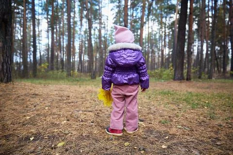 Small child stands with his back to the camera in an autumn sunny forest. People Stock Photos