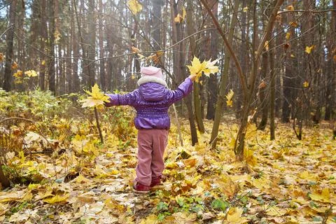 Small child stands with his back to the camera in an autumn sunny forest with Stock Photos
