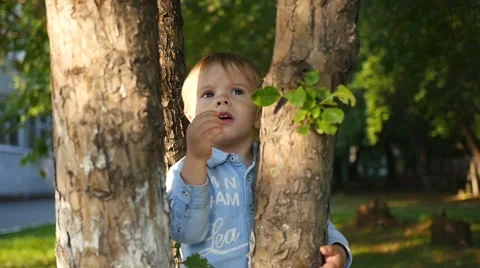A small child stands next to a tree Vídeo Stock 66748844