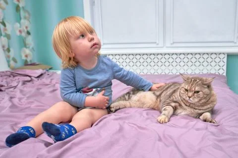 Small child stroking a cat bed, close-up Stock Photos