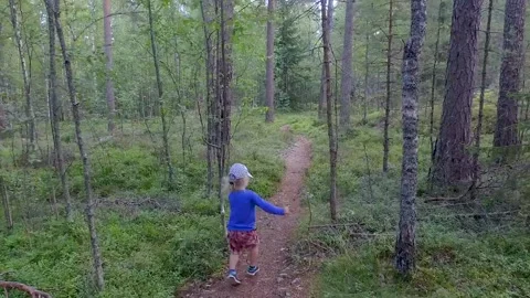 A small child walking on a footpath in a forest with lots of pines and spruces. 库存影片 138754611