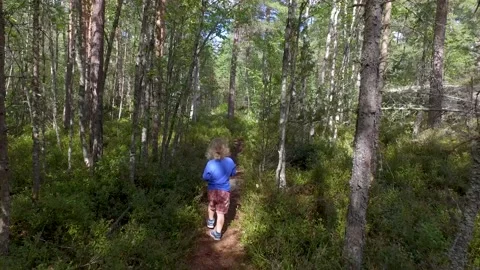 A small child walking on a footpath in a forest with lots of pines and spruces. 库存影片 138754716