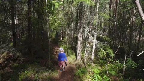 A small child walking on a footpath in a forest with lots of pines and spruces. 库存影片 138754873