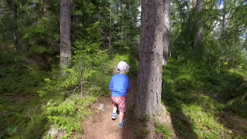 A small child walking on a footpath in a forest with lots of pines and spruces. 库存影片 138755137