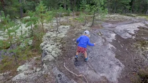 A small child walking on a footpath in a forest with lots of pines and spruces. 库存影片 138755306