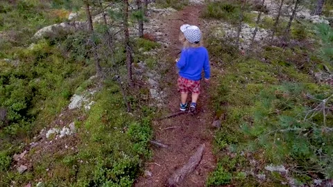 A small child walking on a footpath in a forest with lots of pines and spruces. 库存影片 138755345