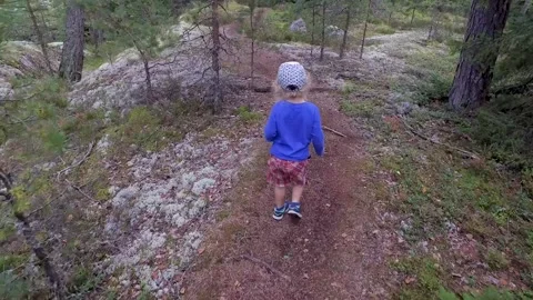 A small child walking on a footpath in a forest with lots of pines and spruces. 库存影片 138755406