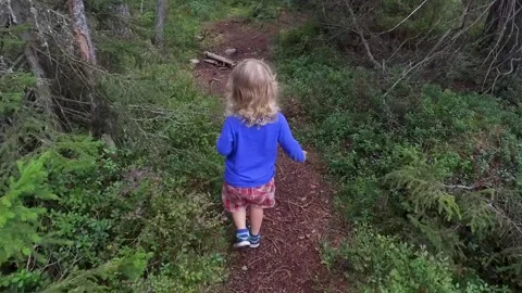 A small child walking on a footpath in a forest with lots of pines and spruces. 库存影片 138755601