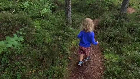A small child walking on a footpath in a forest with lots of pines and spruces. 库存影片 138755709