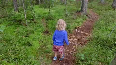 A small child walking on a footpath in a forest with lots of pines and spruces. Stock Footage 138755819