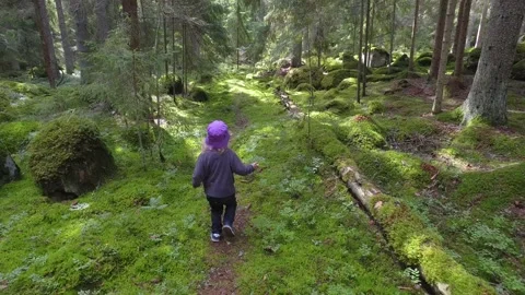 A small child walking in a forest with lots of pines and moss. Stock Footage 138028322