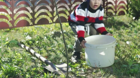 A small child watering a tree sapling with water from a bucket 스톡 동영상 98631498