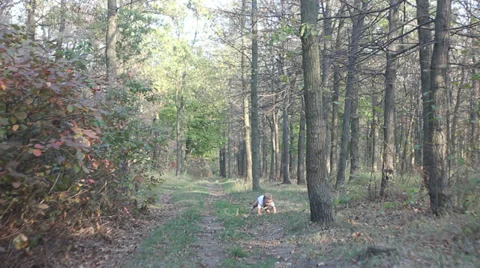 A small child in the wood Video stock 32847914