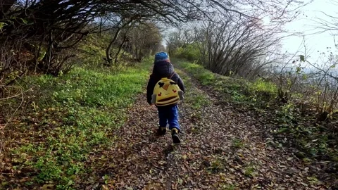 A small child with a yellow bee backpack climbs the path to the mountains Video stock 223721754