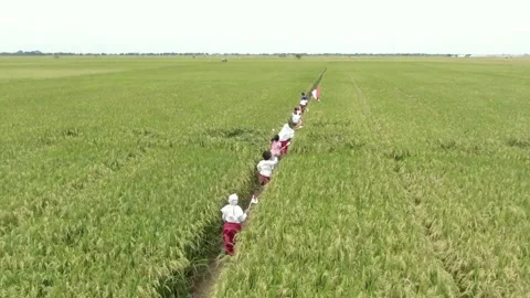 Small children are playing 스톡 동영상 276735650