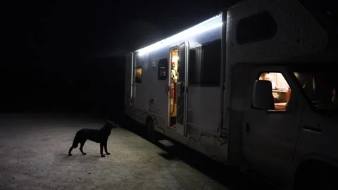 Small children feed a stray black dog at night near a motorhome 库存影片 311914251