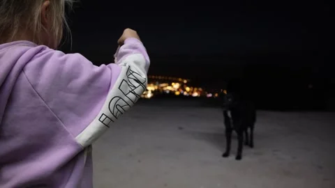 Small children feed a stray black dog at night near a motorhome 库存影片 311916746