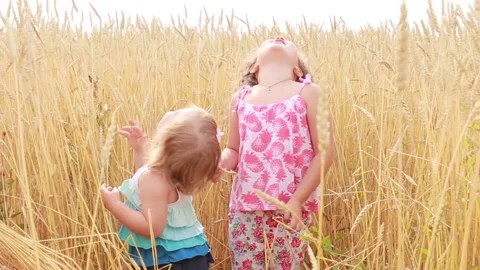 Small children in the field Stock Footage 136627611
