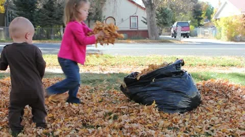 Small Children helping to clean up fall leaves Stock Footage 12358725