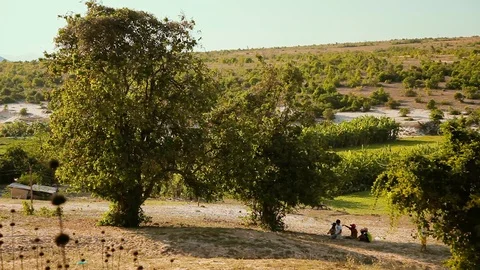 Small children sit in the shade of trees Video stock 120431780