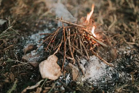 Small children's campfire in the forest on the ground. dry twigs of brushwood Stock Photos
