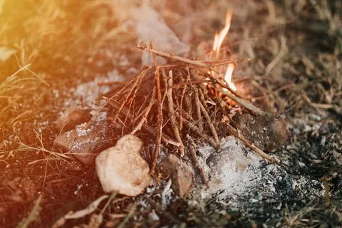 Small children's campfire in the forest on the ground. dry twigs of brushwood Stock Photos