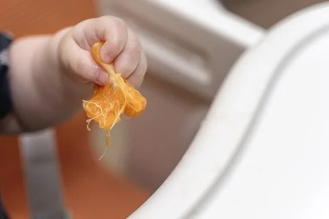 A small child's hand squeezing a mandarin segment, juice dripping out. Perf.. Stock Photos