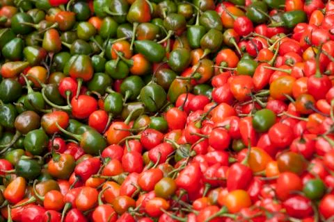 Small chilli peppers Stock Photos