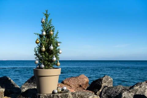 A small Chinese tree in a pot with decorations on granite stones by the sea. Foto stock